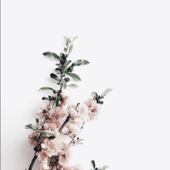 Meet your Posher, Annalisa - Picture 1 of 1